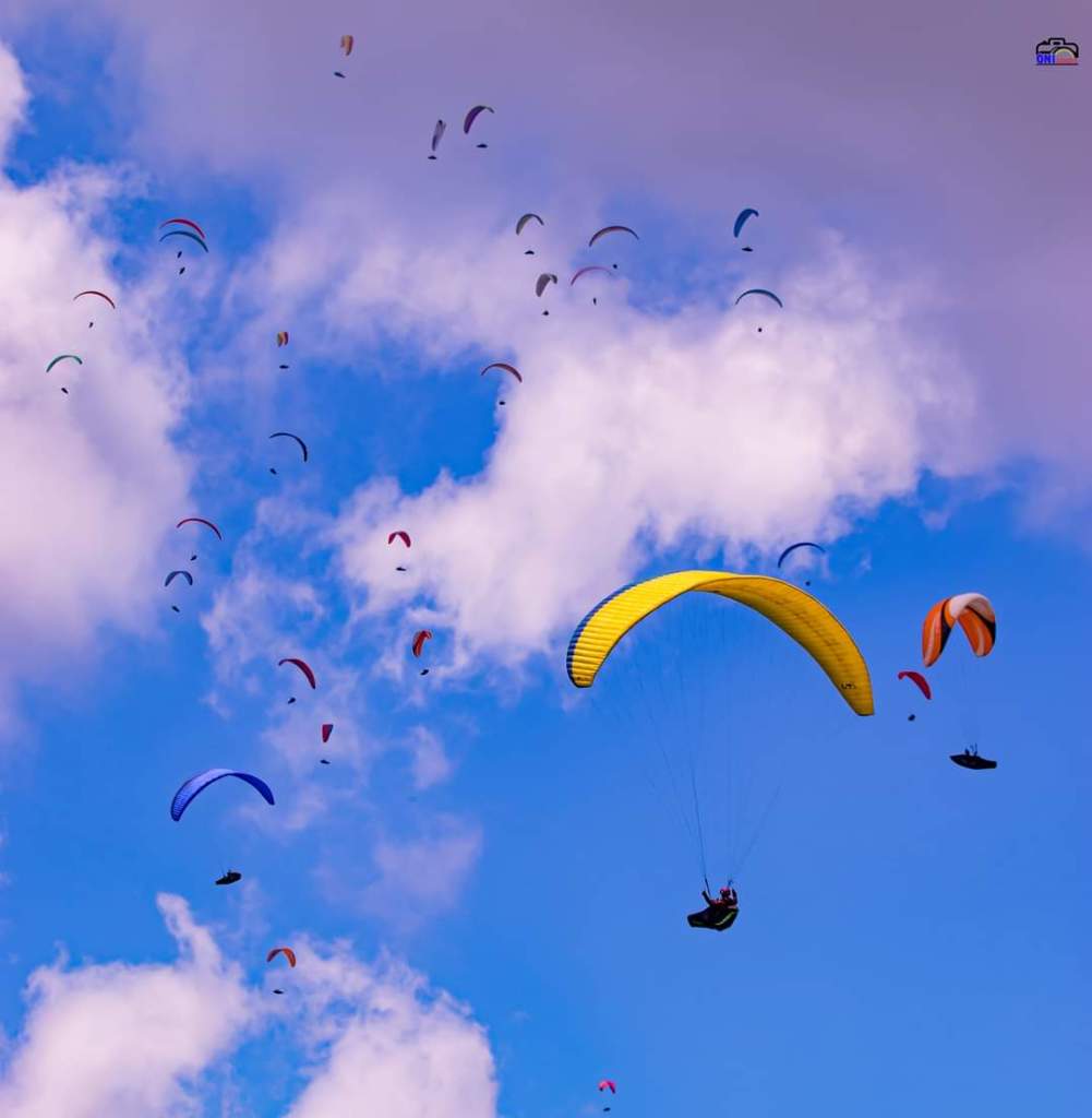 PHOTO-2021-10-07-15-42-26 3